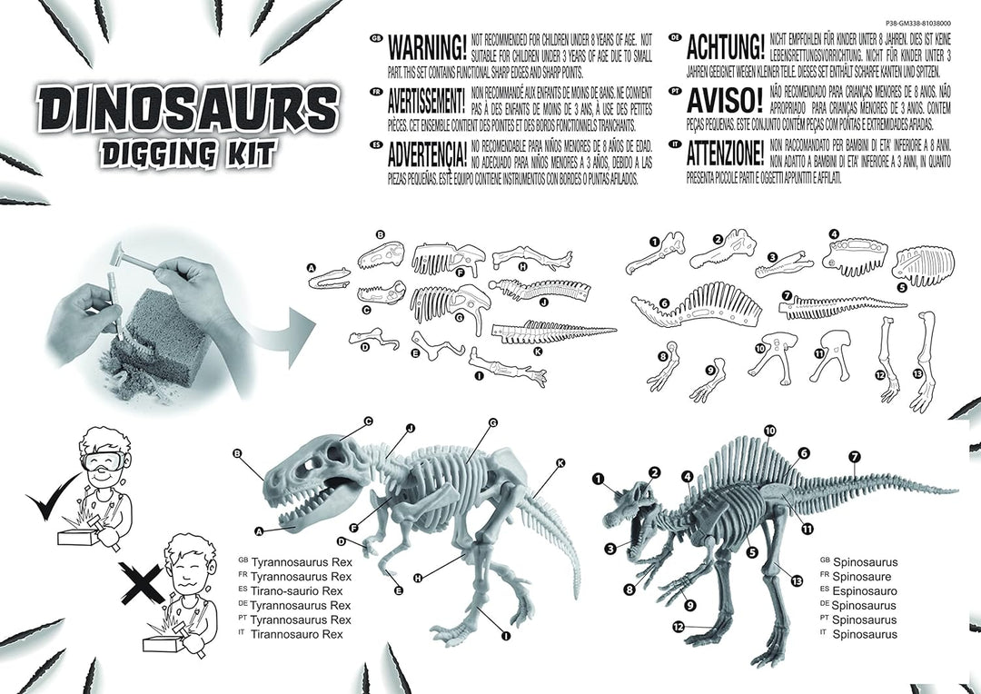 Grosses 2in1 Dinosaurier Ausgrabungsset mit Werkzeug Spinosaurus und Tyrannosaurus Rex in schwerem S