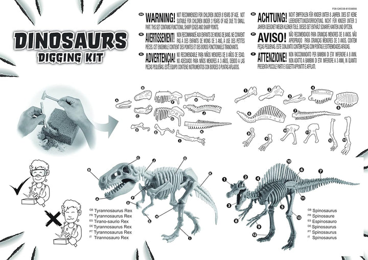 Grosses 2in1 Dinosaurier Ausgrabungsset mit Werkzeug Spinosaurus und Tyrannosaurus Rex in schwerem S