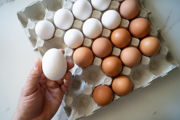 Nipter Eierpappen Eierkarton für Hühnereier, Eierschachtel für 30 Eier, 20 Stück, 20