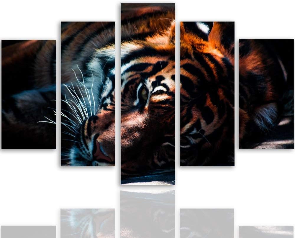 Feeby. Wandbild - 5 Teile - Deco Bild, gedrucktes Bild, Foto, Deco Panel, XXL, 5-Teilig, Typ A, 250x