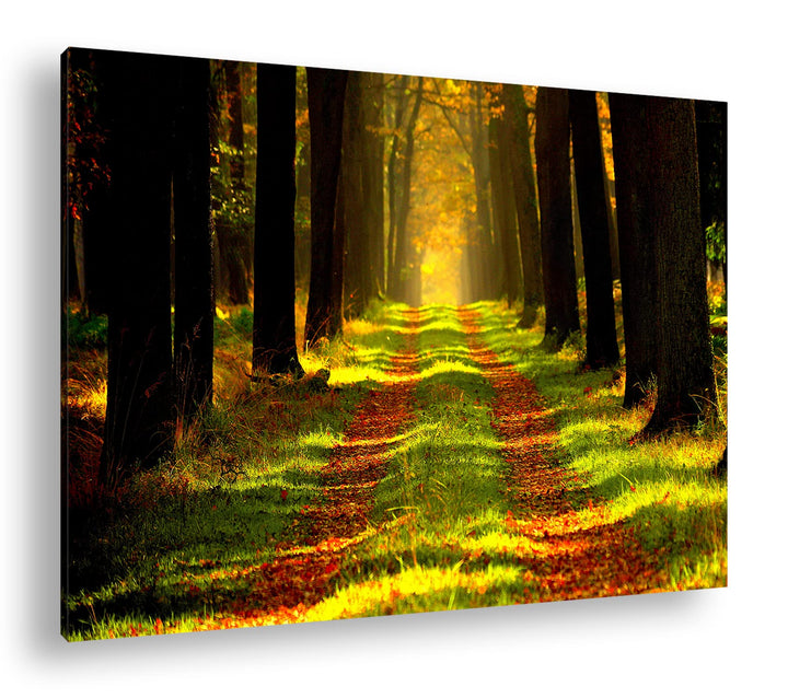 deyoli Waldweg im Herbst Format: 80x60 als Leinwandbild, Motiv fertig gerahmt auf Echtholzrahmen, Ho