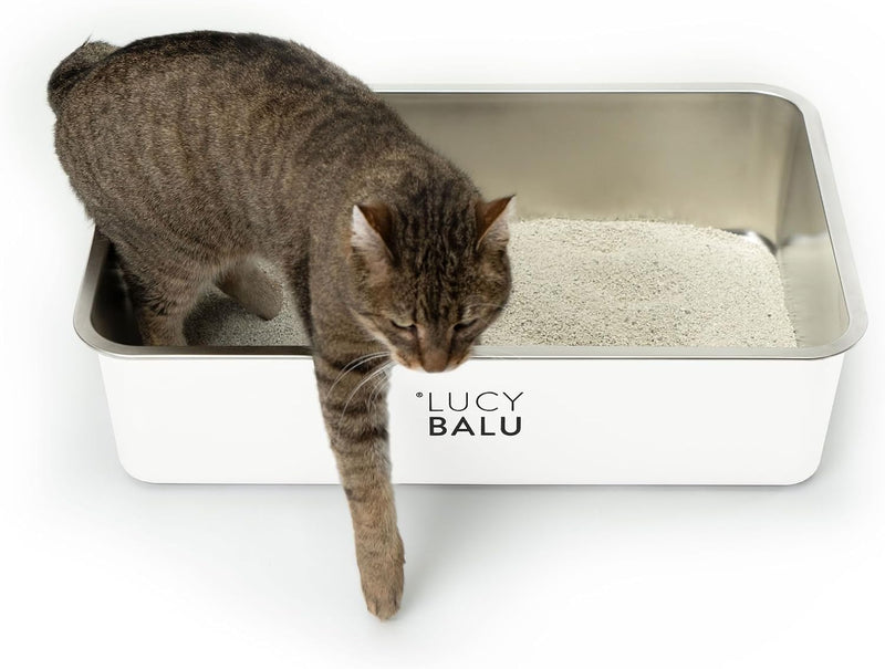 LucyBalu® Edelstahl Katzenklo geruchsfrei | grosse Katzentoilette aus Edelstahl | offenes Katzenklo