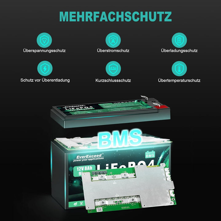 12V 8Ah Wiederaufladbare Lithium Batterie, 12v Batterie mit integriertem BMS, 3000+ Tiefe Zyklen Bat