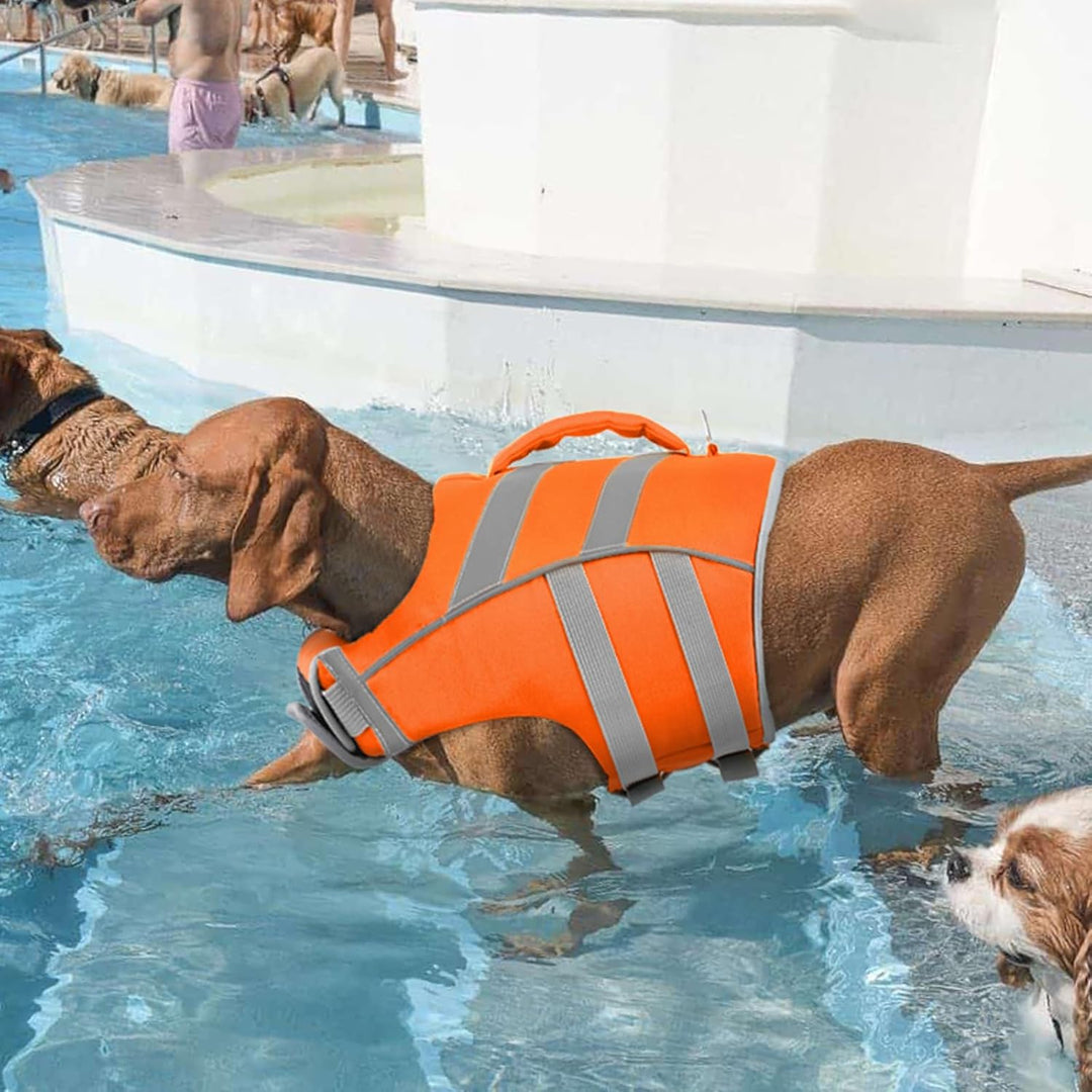 Kuoser Schwimmweste Hund, Haltbarkeit Hundeschwimmweste, Hervorragender Auftrieb Schwimmweste Hund k