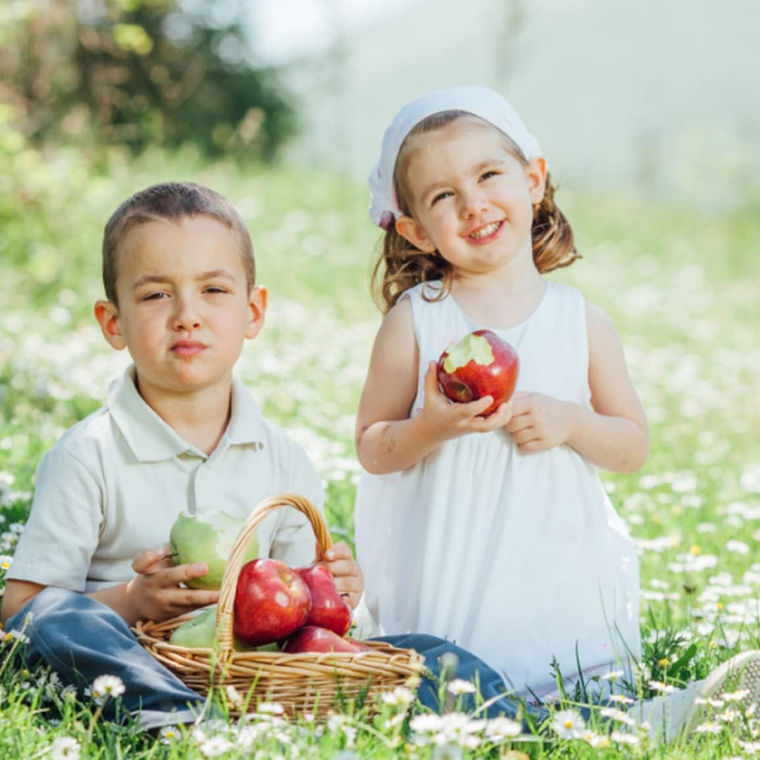 Picknick Korbkorb rustikaler leerer Geschenkkorb Ovaler Hamper gewebter Korb mit Liner für Picknickp