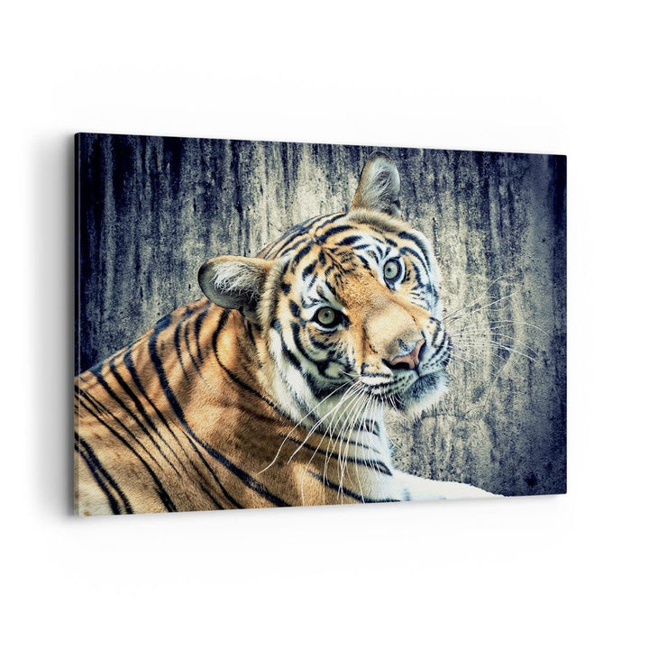 Bilder auf Leinwand 100x70cm Leinwandbild Indien stein tiger wild Gross Wanddeko Bild Schlafzimmer K