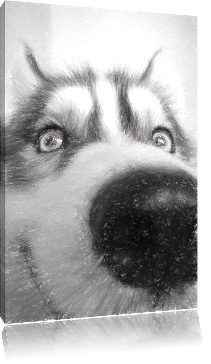 Pixxprint Glücklicher Husky als Leinwandbild/Grösse: 100x70 cm/Wandbild/Kunstdruck/fertig bespannt,