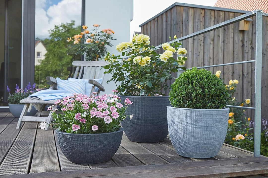 Scheurich Barceo Bowl 40, Pflanzschale/Blumentopf/Pflanzenschale, rund, Farbe: Stony Black, hergeste