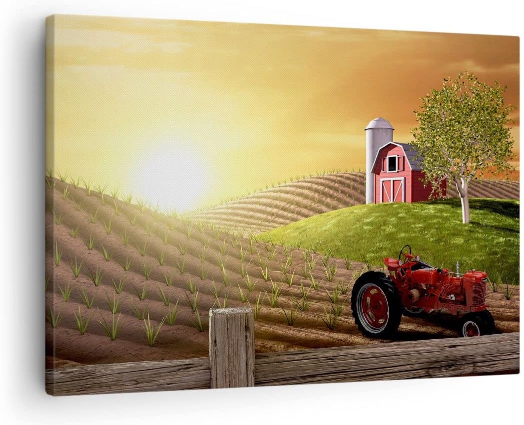 Bilder auf Leinwand Morgen Bauernhof Feld Plantage Leinwandbild 70x50cm Wandbilder Dekoration Wohnzi