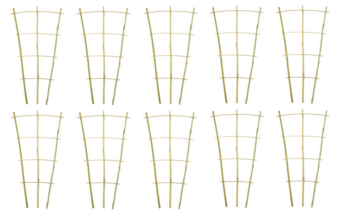 DARO DEKO Bambusrohr Rankgitter 32 x 60cm 10 Stück, 32 x 60cm 10 Stück