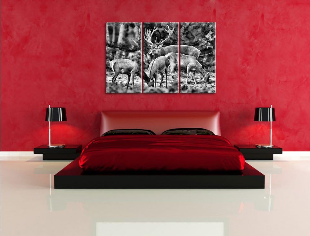 Pixxprint Hirschfamilie auf Waldlichtung als Leinwandbild/Grösse: 3 Teilig (120x80) cm/Wandbild/Kuns