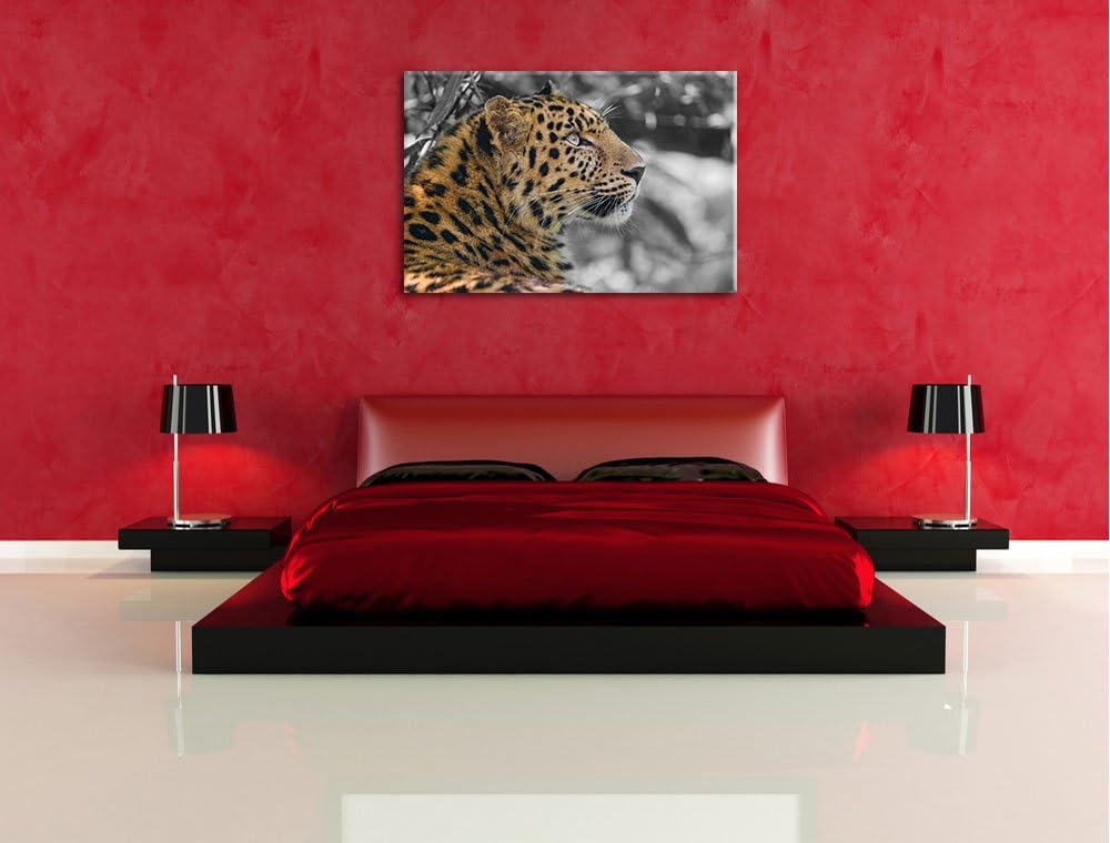 stolzer Leopard ruht im Schatten schwarz/weiss auf Leinwand, XXL riesige Bilder fertig gerahmt mit K