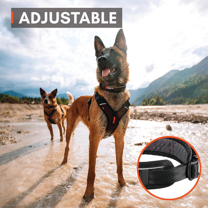 Non-stop dogwear Rock Collar Adjustable |3446| Verstellbares Funktionshalsband, Grösse:XL