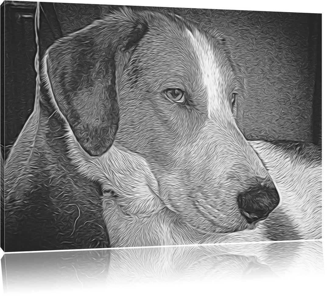 Jack Russel Terrier ruht sich aus Deluxe Format: 100x70 cm auf Leinwand, XXL riesige Bilder fertig g