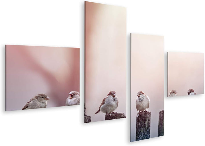 islandburner Bild auf Leinwand Spatzen Sonnenlicht Pfähle Bilder Wandbilder Poster Leinwand 150x80cm