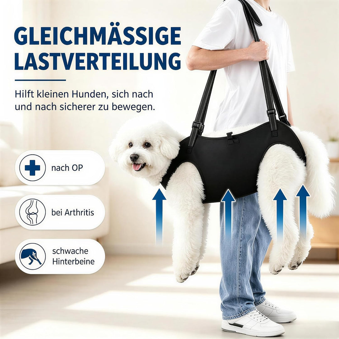 Tragehilfe Hund Hundegeschirr Hunde Tragehilfe für Grosse - XL | Hunde Tragehilfe für Mittelgrosse G