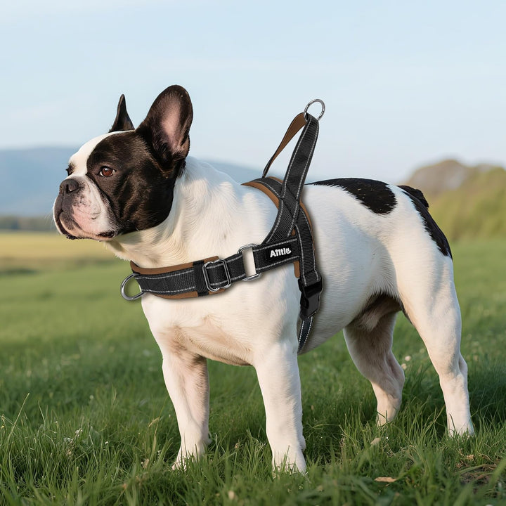 AIITLE Verbessertes Anti-Zug-Hundegeschirr mit weich gepolstertem Griff, Reflektorstreifen und Schne