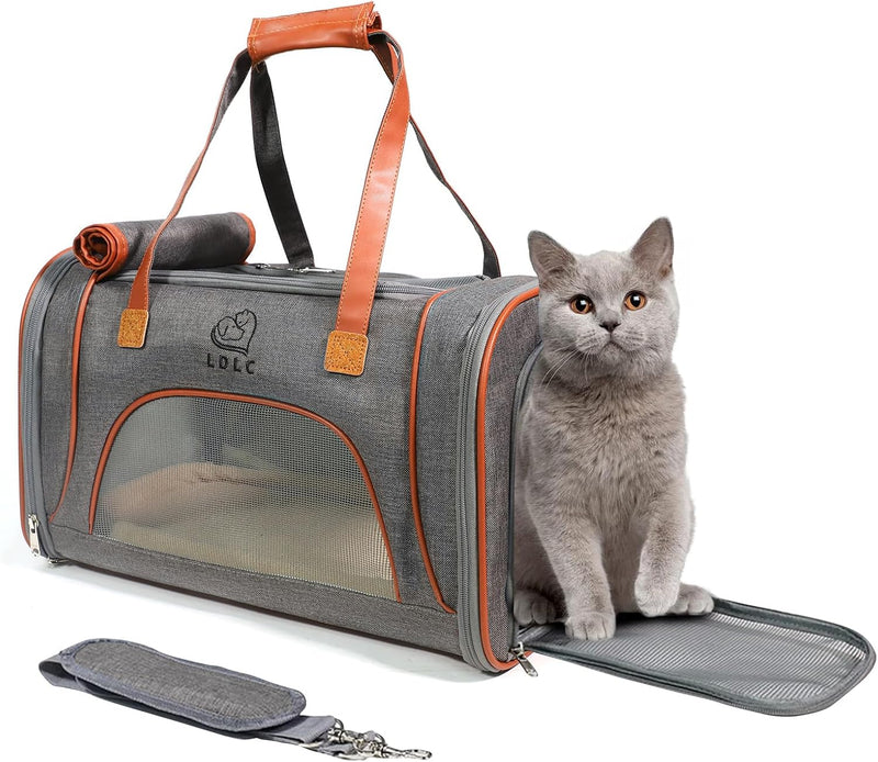 PETCUTE Transporttasche Katze Faltbare,Atmungsaktiv, Katzentransportbox mit Abnehmbares Kissen,Hunde