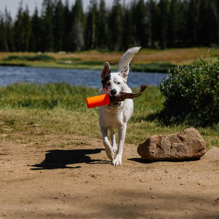 Carhartt Pet Pet Toys, Retrieving Bumper, Large, OS, Hunter Orange Large Hunter Orange, Large Hunter