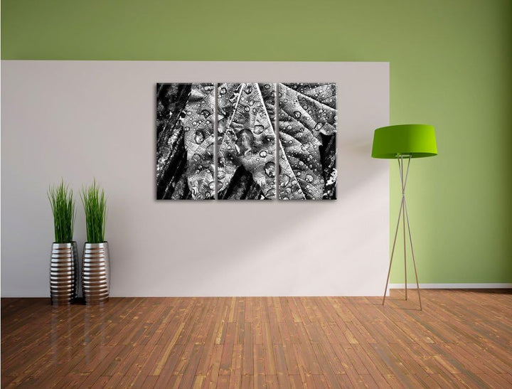 Pixxprint Regentropfen auf Blatt als Leinwandbild/Grösse: 3 Teilig (120x80) / Wandbild/Kunstdruck/fe