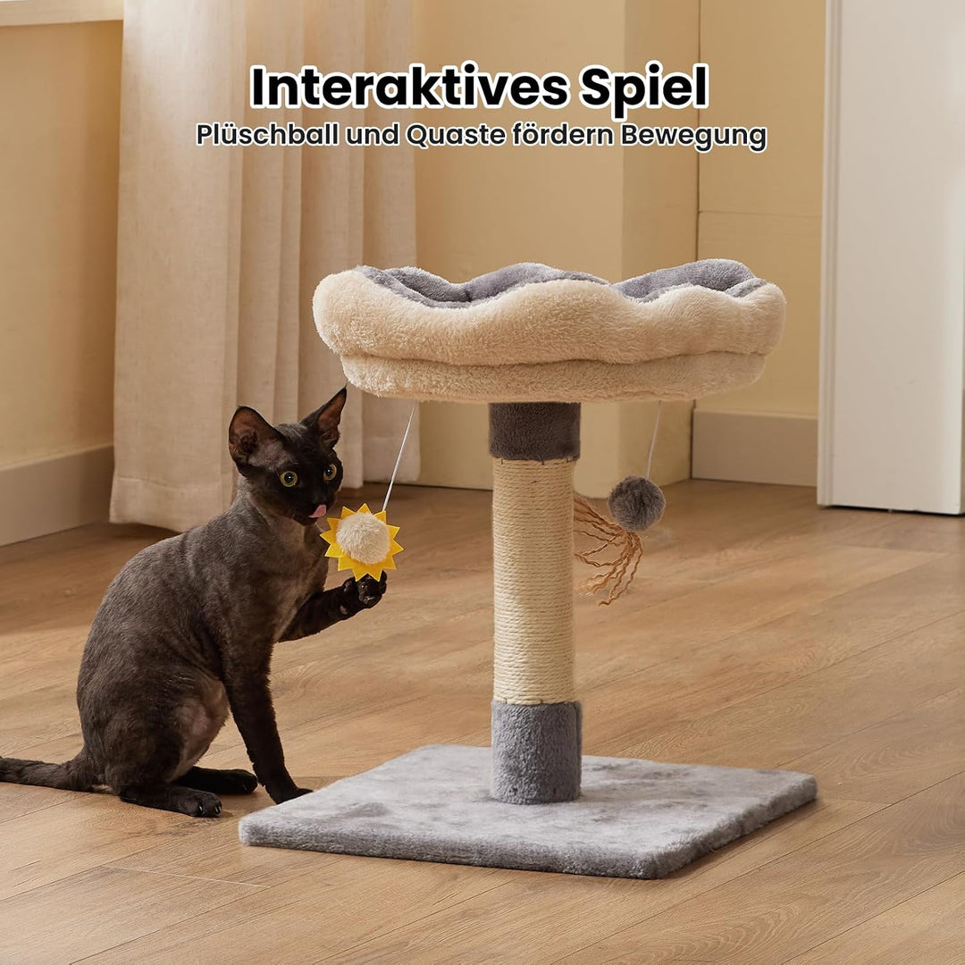 Gardner Pet Kleiner Katzenbaum, Kratzbaum klein mit 34 x 30 cm gepolsterter Plattform, 51 cm hoch Ka