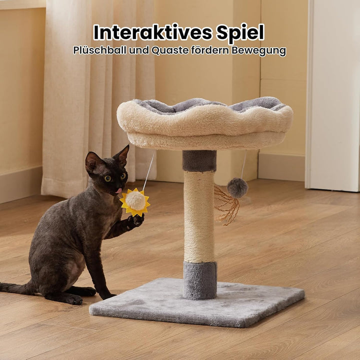 Gardner Pet Kleiner Katzenbaum, Kratzbaum klein mit 34 x 30 cm gepolsterter Plattform, 51 cm hoch Ka