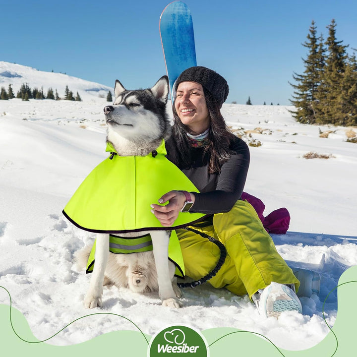 Weesiber Hunderegenmantel - Regenmantel Hund wasserdicht Hund Regenjacke mit Kapuze, Reflektierend R