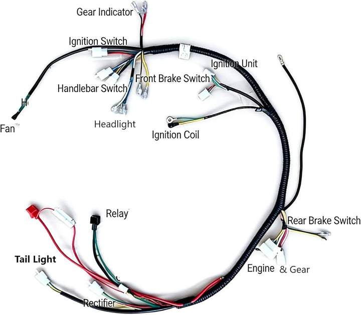 Riloer Komplettes Kabelbaum-Kit Drahtwebstuhl Elektrik Statorspule CDI Fit für chinesisches Dirtbike