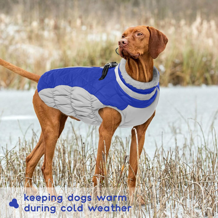 PUMYPOREITY Hundemantel Winter, Wasserdicht Hundejacken Grosse Hunde Weste Warm Winddicht Hundejacke