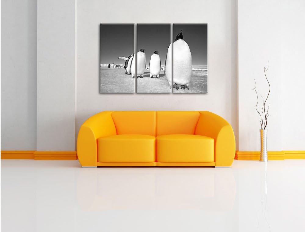 Pixxprint Kaiserpiguine in Antarktis als Leinwandbild/Grösse: 3 Teilig (120x80) cm/Wandbild/Kunstdru