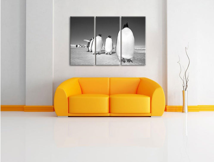 Pixxprint Kaiserpiguine in Antarktis als Leinwandbild/Grösse: 3 Teilig (120x80) cm/Wandbild/Kunstdru