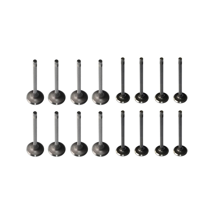 Huiruhy 8x Einlassventil + 8x Auslassventil Kompatibel mit 1.4 1.6 FSi 1.2 HTP 16V ATN BCB BTG BXW A