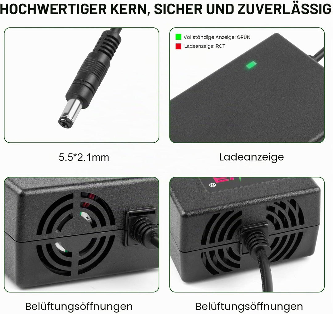 Labtec 54,6V 48V 2A Ladegerät Ladekabel für 48V 2A 13S Li-on Akkus E-Bike Elektrofahrrad Pedelec Hov