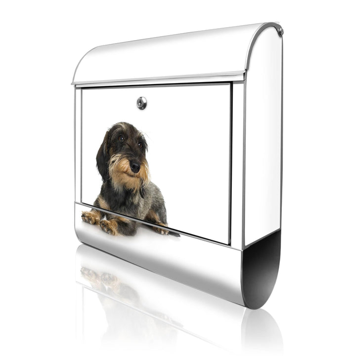 banjado® Design Briefkasten mit Motiv Dackel 39x47x14cm &amp; 2 Schlüssel - Briefkasten Stahl Silber mit