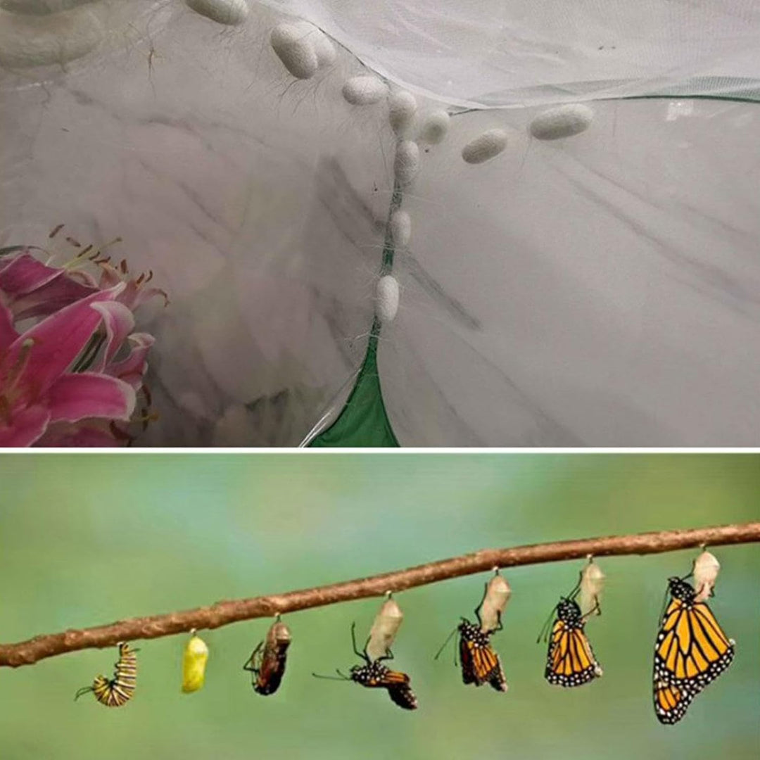 Schmetterlingshaus Lebensraum - Komfortabler Schmetterlingskäfig,Leichter Netz-Insektenkäfig, Sicher