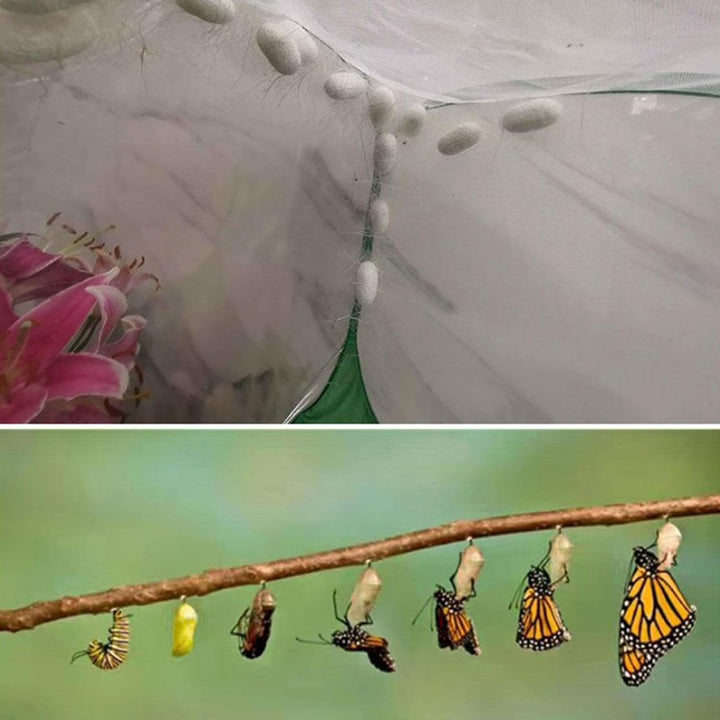 Schmetterlingshaus Lebensraum - Komfortabler Schmetterlingskäfig,Leichter Netz-Insektenkäfig, Sicher