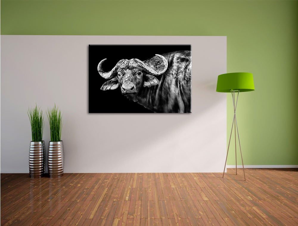 Pixxprint Dark Wasserbüffel als Leinwandbild/Grösse: 100x70 / Wandbild/Kunstdruck/fertig bespannt, 1
