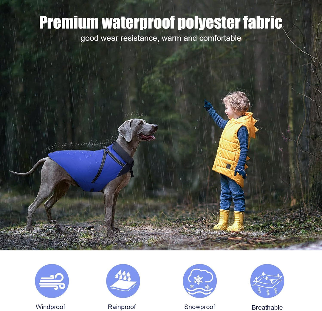 Buddypuppy Hundemantel Winter, Warme Hundejacke Wasserdicht mit Geschirr für Mittel und Grosse Hunde
