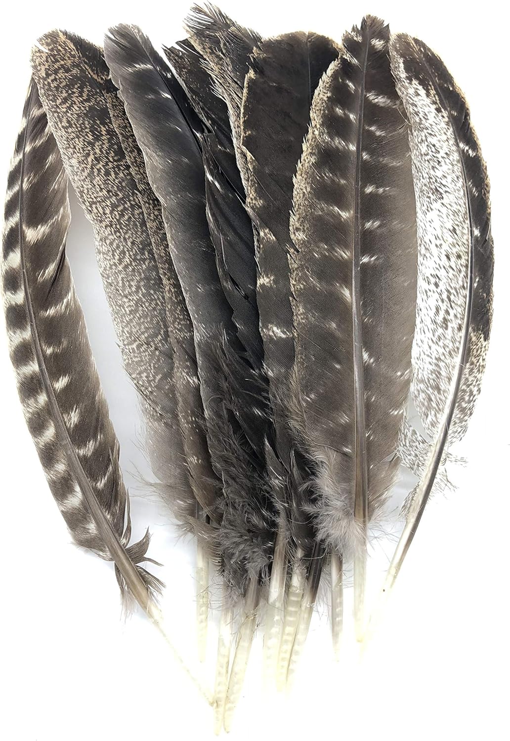Truthahn Federn 20-30 cm/ 8-12 Zoll Länge Truthahnfedern 10/20/50 stück… 20 Stück, 20 Stück