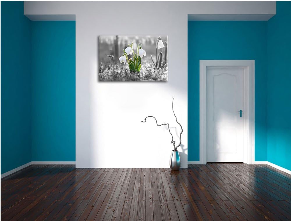 schöne Schneeglöckchen im Morgentau schwarz/weiss Format: 100x70 auf Leinwand, XXL riesige Bilder fe