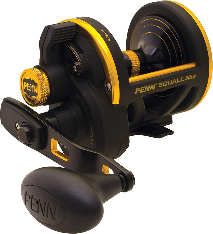 PENN Squall Level Wind Multirolle für Salzwasser Boots- oder Kajakangeln 30-Pound/360-Yard, 30-Pound