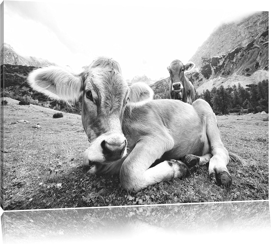 Pixxprint Almkuh in den Bergen als Leinwandbild/Grösse: 100x70 cm/Wandbild/Kunstdruck/fertig bespann