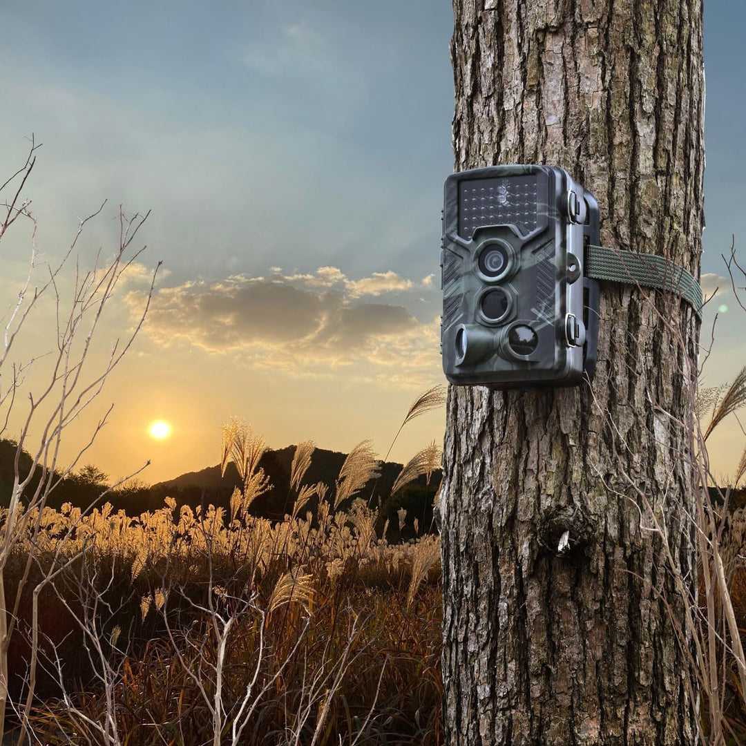 Full-HD-Wildkamera 24 MP mit 3 Bewegungssensoren – Nachtsicht, Serienbild- & Zeitraffer-Funktion, Fa