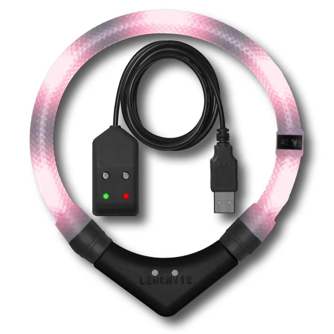 LEUCHTIE® Easy Charge Leuchthalsband Hund aufladbar, wasserdichtes LED Halsband, Leuchtband für Hund