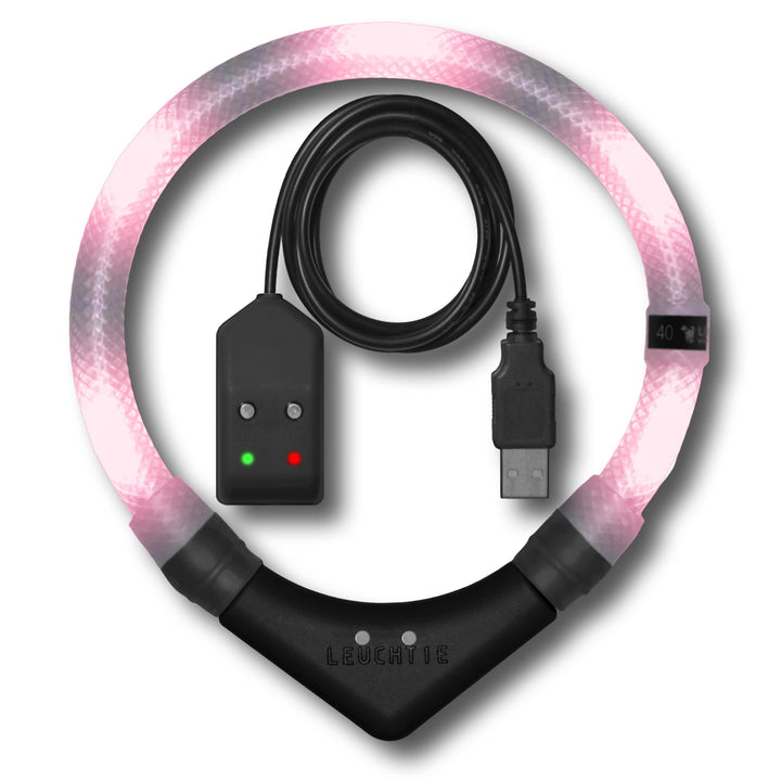 LEUCHTIE® Easy Charge Leuchthalsband Hund aufladbar, wasserdichtes LED Halsband, Leuchtband für Hund