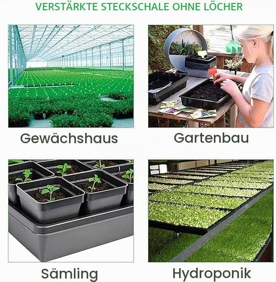 Anzuchtschale ohne Löcher – 6 Stück Pflanzschale/Anzuchttablett ohne Abflusslöcher, für Fensterbank