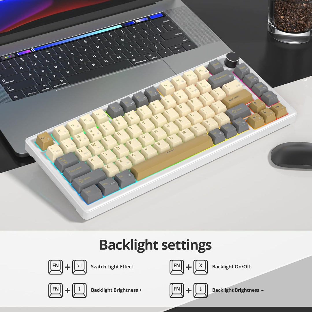 SOLIDEE Verkabelte Mechanische Gaming Tastatur 75 Prozent, Hot-Swap-Fähig Mit Gasket Struktur, RGB H