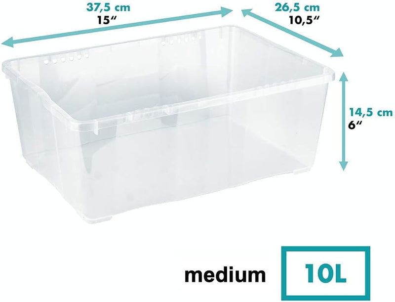 Grizzly Aufbewahrungsboxen 5 x 10 L mit Deckel transparent - Klarsichtboxen stapelbar mit Belüftung