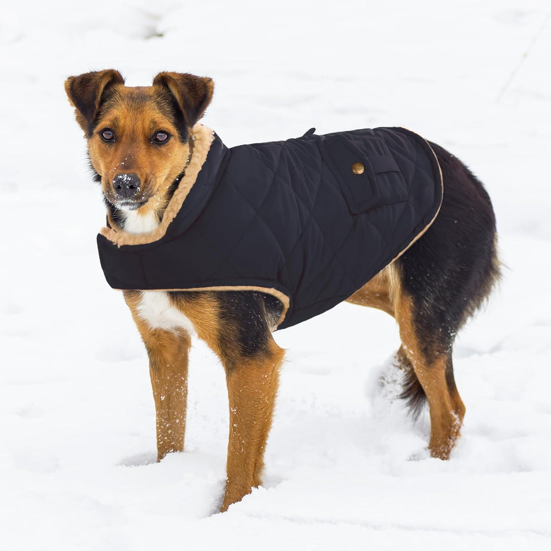 CITÉTOILE Wintermantel Hundemantel, Warme Winterjacken mit Fleece für Hunde,Hundejacke Hundekleidung