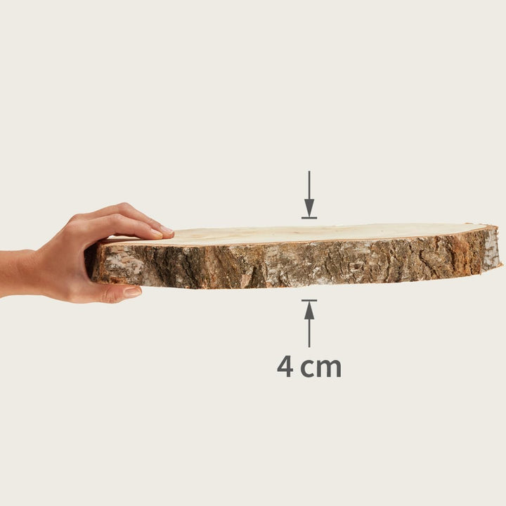Grosse Holzscheibe 35 cm zum Holz-Deko Basteln - 1 Stk. runde EU Birkenholz Baumscheibe 1 Ø 35 cm, 1